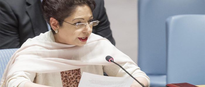 UNSC Reforms for International Peace and Pakistan's Stance