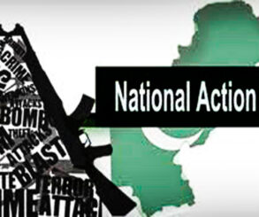 The Progress and the Evolution of the National Action Plan