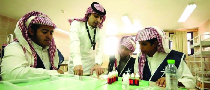 Saudi Vision 2030 and Higher Education in the MBS Era
