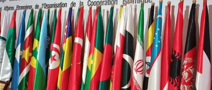 OIC's Relevance in the Muslim World