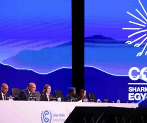 COP27: Pakistan's Advocacy for a Global Cause